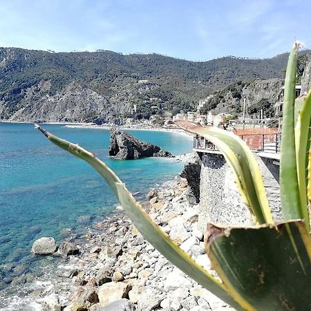 Nel Cuore Di Monterosso Cinque Terre Orto Di Ciack Monterosso al Mare Exterior foto